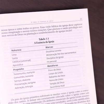 image_17e87750-9e6e-4ea4-b1bc-ac7d7767fb16