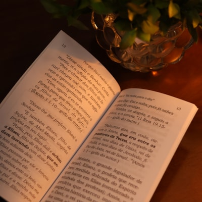 image_908a9aa3-a820-4e25-82ea-db0ba841f368