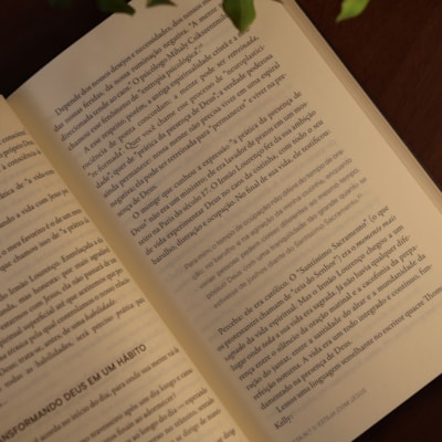 image_887ea92d-2831-4d8a-a3e5-9801e5069404