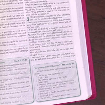 image_4226e272-51fc-419e-9f42-7473a790465a