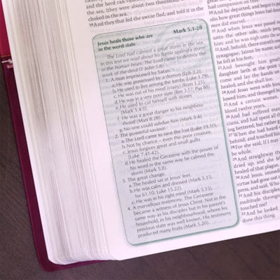 image_c4cef0cf-72a8-4dcc-bfd5-ffc7ef9a641a