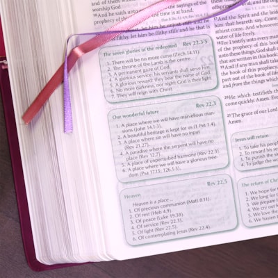 image_f4d13b40-9bd7-4c9a-b99a-0af5a7e819e7