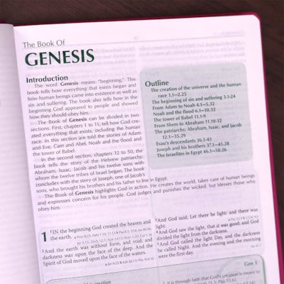 image_a01be04f-d733-4b8d-8a7d-e2d82824f321