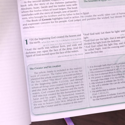 image_eb450394-79e6-40cd-8a87-9e1970e74c84