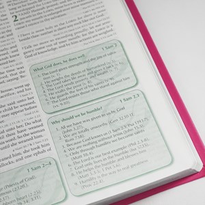 Preachers Bible | Bíblia da Pregadora em Inglês | KJV | Capa Luxo Flor
