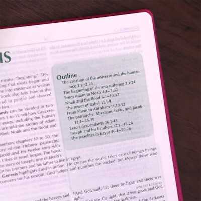 image_d0cdffd8-a3f9-4681-b5be-29d1b7cf4759