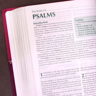 image_cf261ec4-f9f7-47f3-bd9d-9364dfa01c97