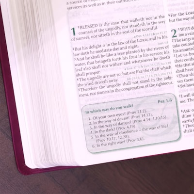 image_a6905932-43a9-4226-8c08-19143c88632b