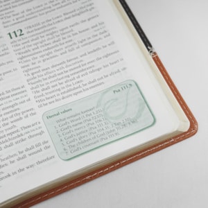 Segunda imagem do produto Preachers Bible | Bíblia do Pregador em Inglês | KJV | Capa Luxo Marrom