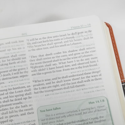 image_b8b72124-12b2-44cc-ac7c-115970e4646a