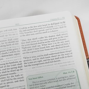 Preachers Bible | Bíblia do Pregador em Inglês | KJV | Capa Luxo Marrom