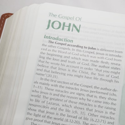 image_2652cb56-8a8b-4396-9b27-d8667c941bae