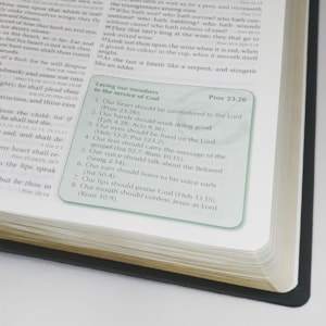 Preachers Bible | Bíblia do Pregador em Inglês | KJV | Capa Luxo Verde