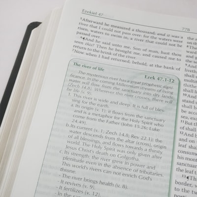 image_29d19058-4e3a-4164-9767-039bb1c9c5ee