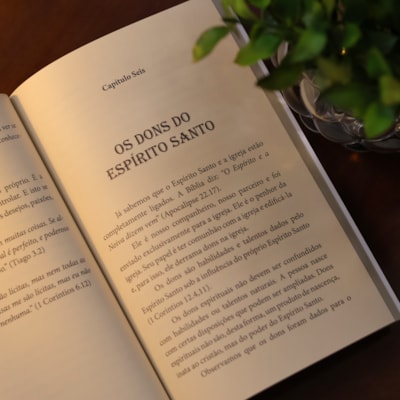 image_6b6f94a2-888e-48b9-bb6c-110d278e54d7