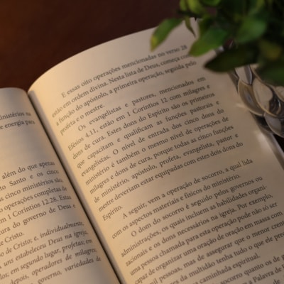 image_7ee3455e-1e6d-4c0b-9e4d-c3699258b1b7