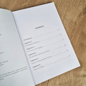 Segunda imagem do produto Pregação Eficiente | Paulo Rogério Petrizi