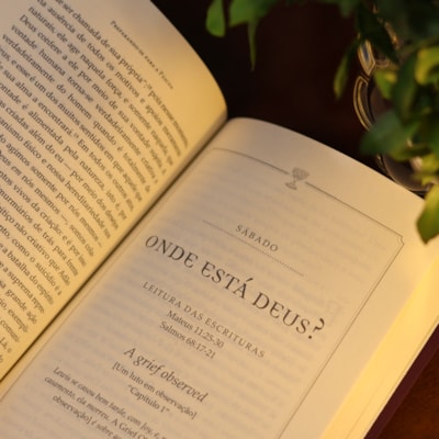 image_9fa19aed-cbfa-4035-afd7-d05993343c15