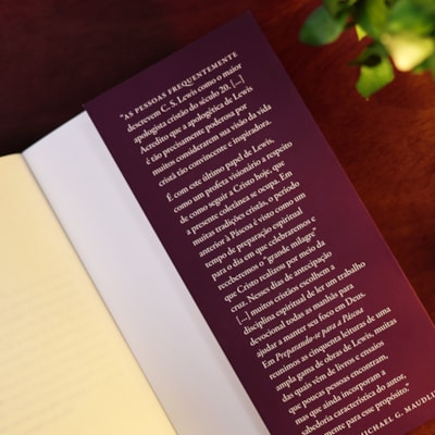 image_99064f33-a4d4-4583-a831-99f1bd3fcaca