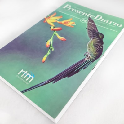 image_bf5f6e1d-565b-4ef1-8a6a-576317a3754a