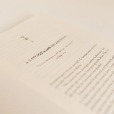 image_56b199a8-40e9-46cd-beeb-13d62449840f