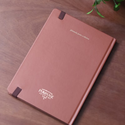 image_085f0476-3d8b-42b0-831a-2c2274012082