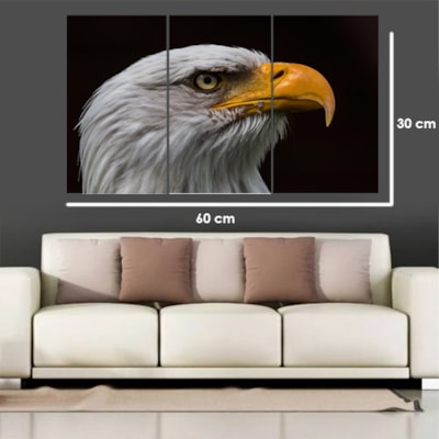 image_c44e486f-e93b-4d0c-99a4-d90296dcff62