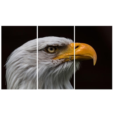 Imagem Principal - 5e1d942f-492a-42e2-a8af-92b5a0a9809e