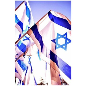 Quadro Decorativo Personalizado A4 | Bandeira de Israel