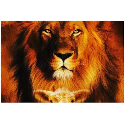 Imagem Principal - 5375eac4-b4e1-4395-9dc7-065177753698