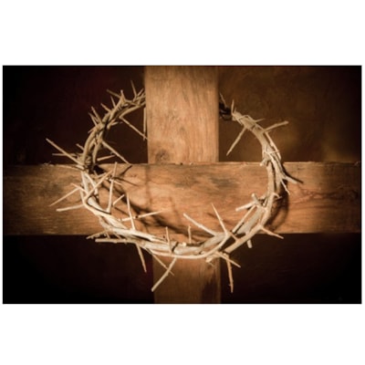 Imagem Principal - b219f2f4-d073-4a0d-bf8e-2faed8555001