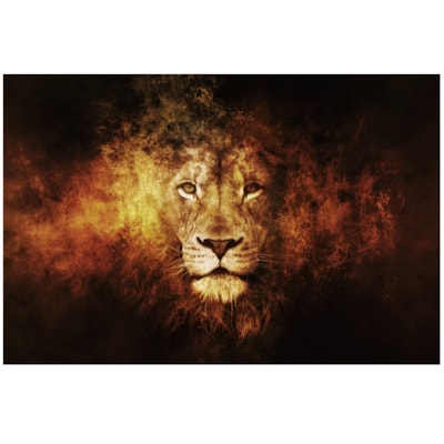 Imagem Principal - a0b7a306-7284-4ab3-99ca-ce24e3d93ca3