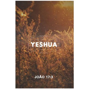 Quadro Decorativo Personalizado A4 | Yeshua João 17:13