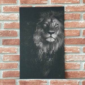 Quadro MDF Leão de Judá Ele É | A3 | UV