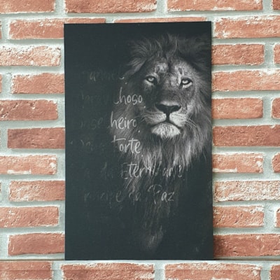 Imagem Principal - ae2556c1-70d3-4051-9d55-0ee6557f9613