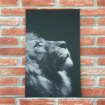 Imagem Principal - b313a9ea-ae81-4a37-8e28-6e26eda95265