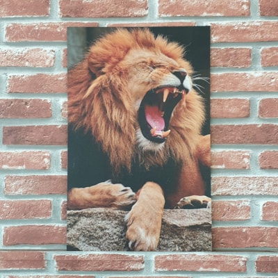 Imagem Principal - 123a78d7-512f-421b-8e3c-3dd75b21779e