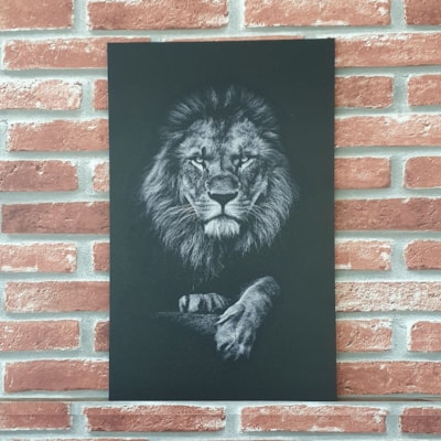 Imagem Principal - 1a9b8e1a-f1ac-452c-aae1-4584fd2b6938