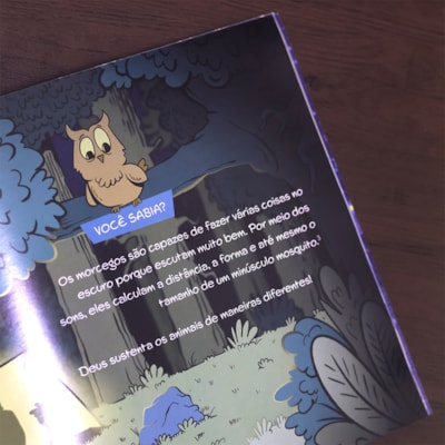 image_2acb66ba-6dd8-48ab-a14c-10339ba62a4e