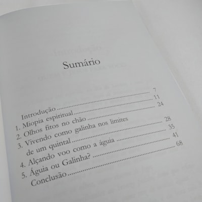 Segunda imagem do produto Quem é Você? Águia ou Galinha? | Jorge Linhares