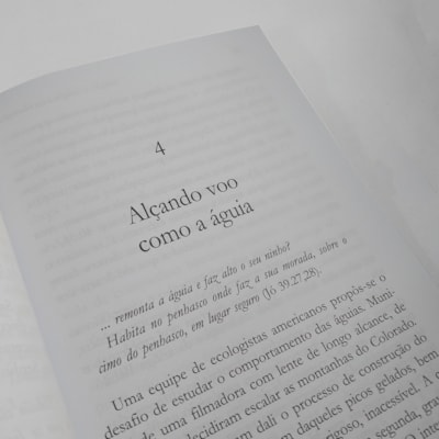 image_86dd7e19-ecc7-4bca-b86f-7a6df68d1564