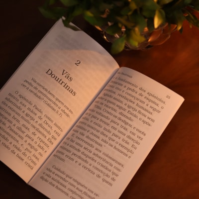 image_fb9f7f99-634e-4057-94b6-741e83cfc2de