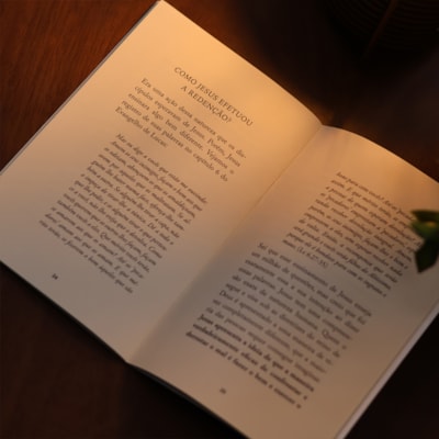 image_09880b42-09af-448f-bcfb-8aafa60b3b04