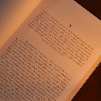 image_2c6683dd-fdf5-4feb-ac93-0430ac5115f8