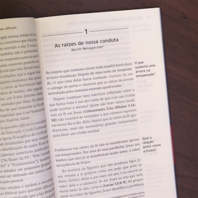 image_7ce50e07-d0b8-4549-85db-f30e7c8d63a4