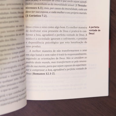 image_e6216b23-0342-4c56-9061-97c4081cee01