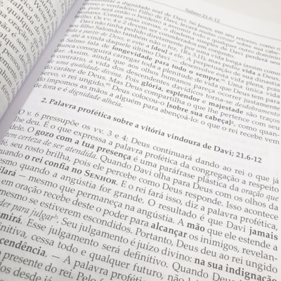 image_c82a3b87-8de0-4a33-a22f-29c96be2cecb