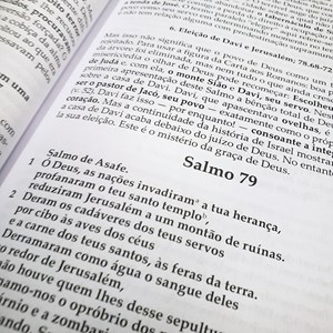 Salmos Vol. 2 | Comentário Esperança | Dieter Schneider