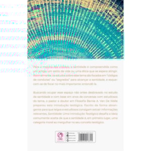 Segunda imagem do produto Santidade | Bernie A. VAN de Walle