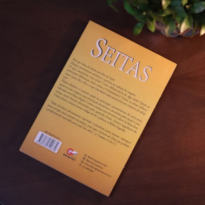 image_ea3ee387-2ed1-4c0f-bbaa-82aaaa9c8155